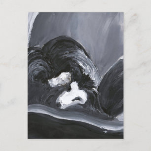 Border Collie Painting Postkarte
