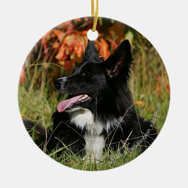 Border Collie Panting Down Keramikornament (Vorne)
