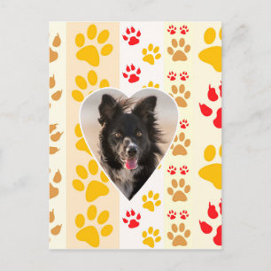 Border Collie Paw Print Liebe Herz Postkarte
