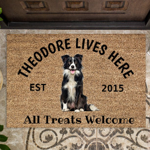Border Collie Personalisiert Dog Lover Fußmatte