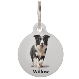 Border Collie Personalize Haustiermarke