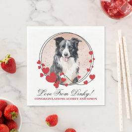 Border Collie Pet Wedkins mit Hunden Foto Serviette