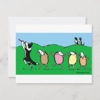 Border Collie Pied Piper