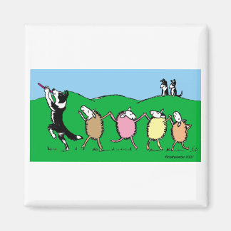 Border Collie Pied Piper Magnet