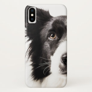 Border-Collie-Porträt iPhone X Hülle