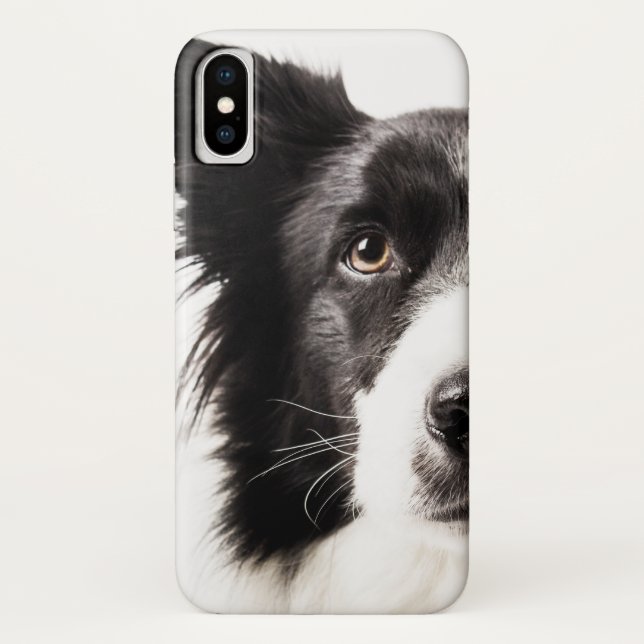 Border-Collie-Porträt Case-Mate iPhone Hülle (Rückseite)
