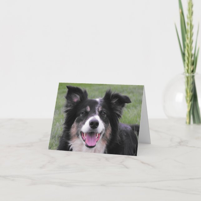 Border-Collie-Porträt Dankeskarte (Vorderseite)