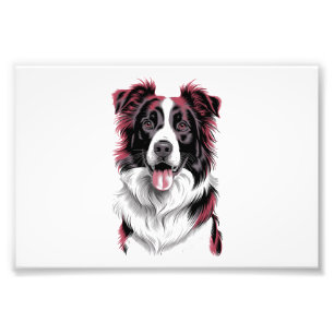 Border Collie-Porträt in lebendigen Details für Hu Fotodruck