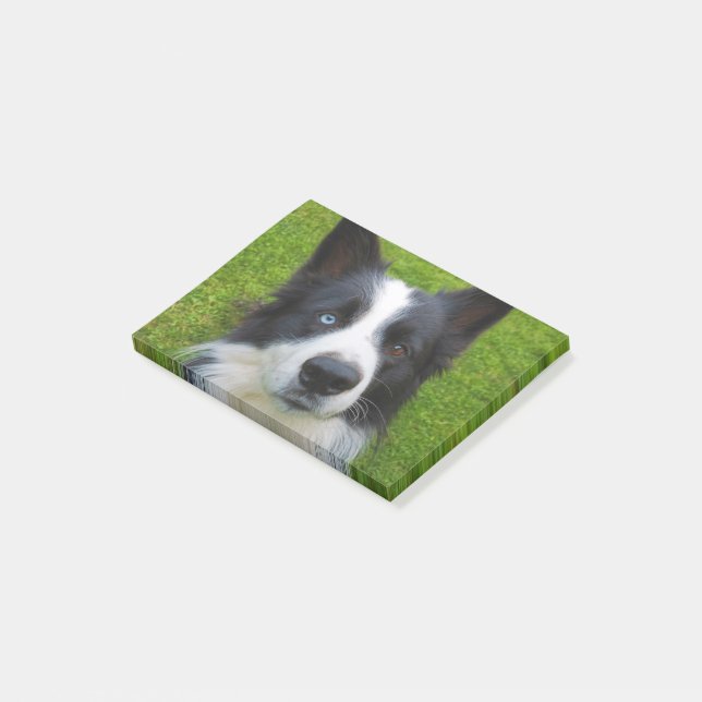 Border Collie Post-it Klebezettel (angewinkelt)