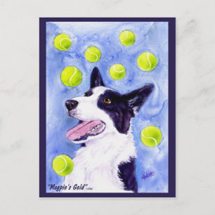 Border Collie Postcard - "Magpie's Gold" Postkarte