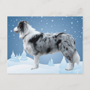 Border Collie Postcard~Weihnachten Feiertagspostkarte