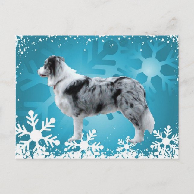 Border Collie Postcard~Weihnachten Feiertagspostkarte (Vorderseite)