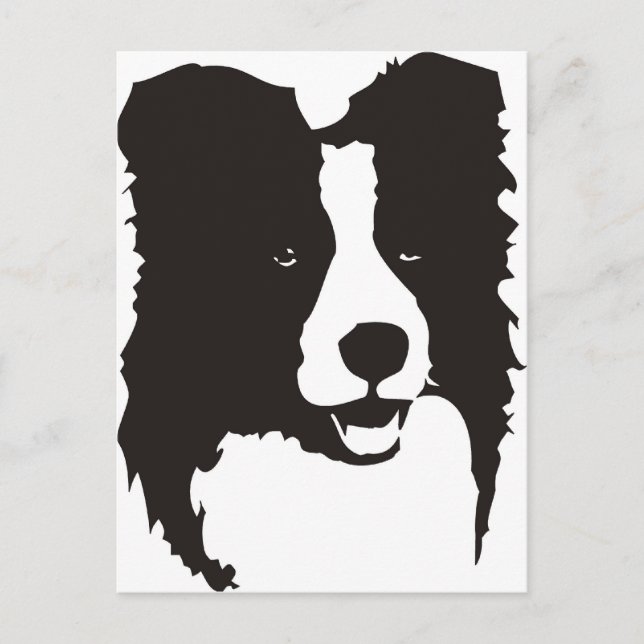 Border Collie Postkarte (Vorderseite)