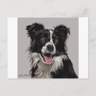 Border Collie Postkarte