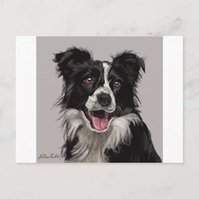Border Collie Postkarte (Vorderseite)