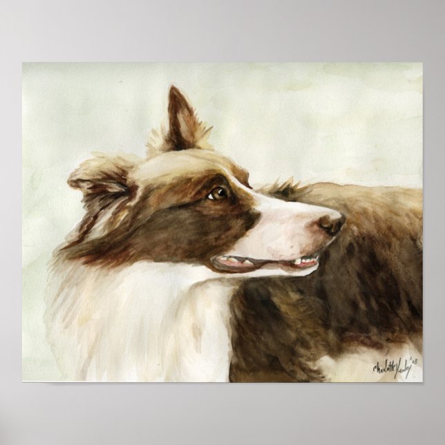 "Border Collie Profile" Art Reproduction Print Poster (Vorne)