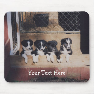 Border Collie Puppies Dog Mousepad
