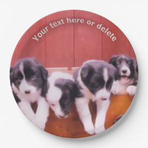 Border Collie Puppies Personalisiertes Party Pappteller