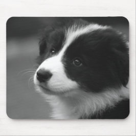 Border Collie Puppy Mousepad