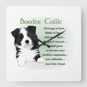Border Collie Puppy Quadratische Wanduhr