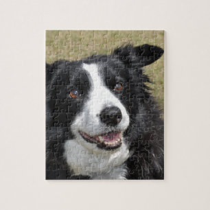 Border Collie Puzzle