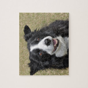 Border Collie Puzzle