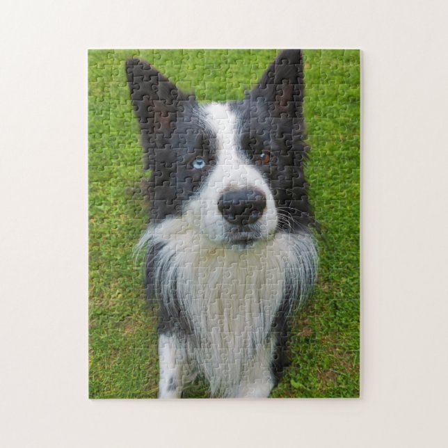 Border Collie Puzzle (Vertikal)