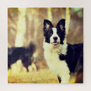 Border Collie Puzzle