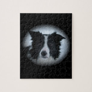 Border-Collie Puzzle