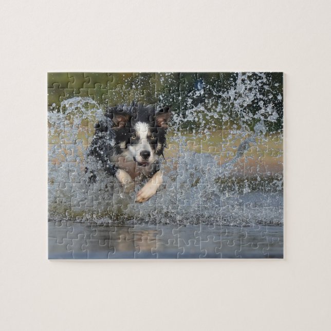 Border Collie Puzzle (Horizontal)