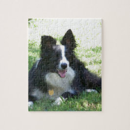 Border-Collie Puzzle