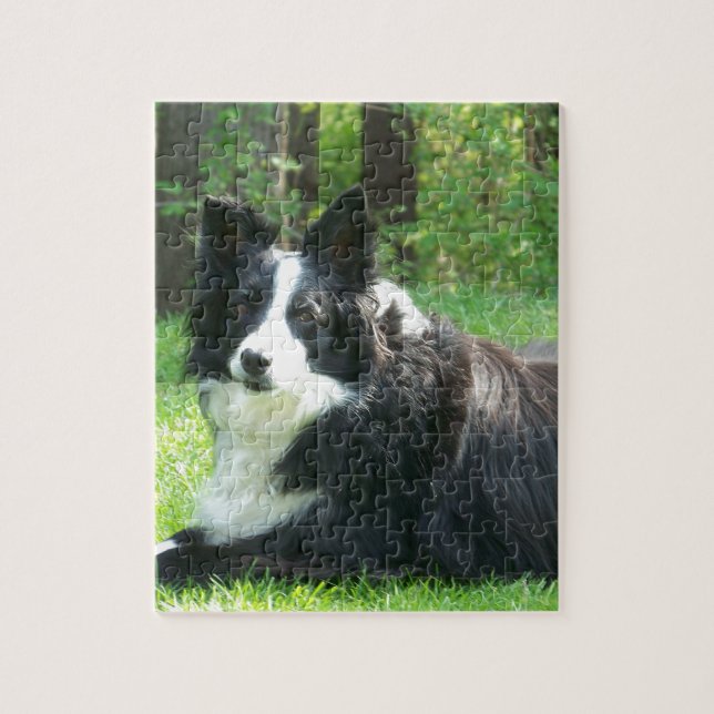 Border-Collie Puzzle (Vertikal)