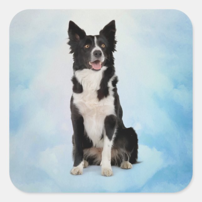 Border Collie Quadratischer Aufkleber (Vorderseite)