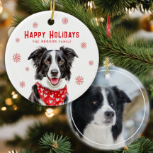 Border Collie Red Heart Bandana Weihnachts-Foto
