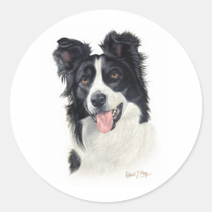 Border Collie Runder Aufkleber