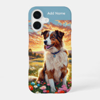 Border Collie Schäferhund