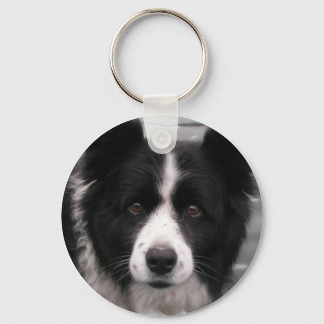 Border Collie Schlüsselanhänger (Vorderseite)