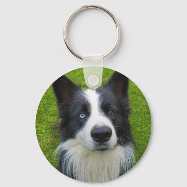 Border Collie Schlüsselanhänger (Vorderseite)
