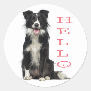 BORDER COLLIE SCHWARZ WEISS WELPENHUND ROSA HALLO RUNDER AUFKLEBER