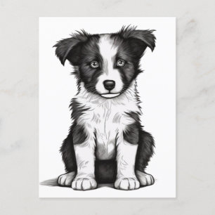 Border Collie Sheepdog Australian Shephard Puppy Postkarte