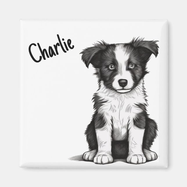 Border Collie Sheepdog Welpe Individuelle Name Nie Magnet (Vorne)
