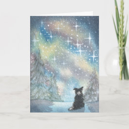 Border Collie sieht auf Starry Sky, Holidays CARD Feiertagskarte