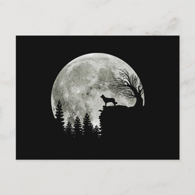 Border Collie Silhouette on Mountain Halloween Dog Postkarte (Vorderseite)