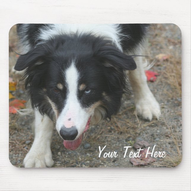 Border Collie Stare Dog Mousepad (Vorne)