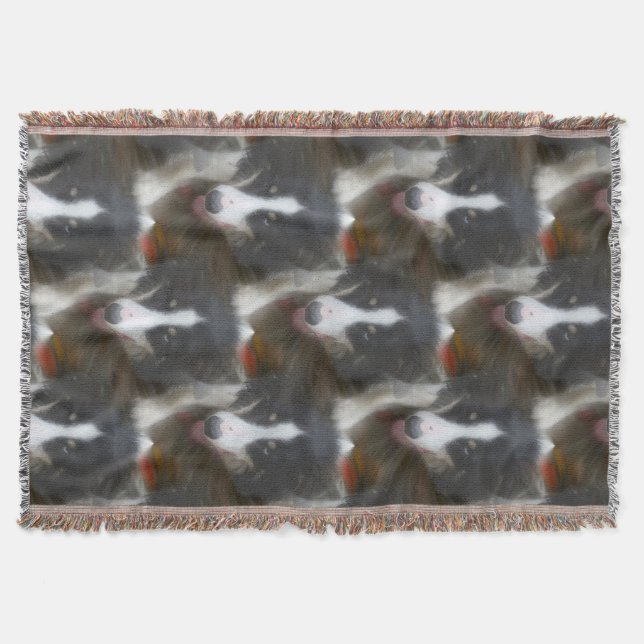 Border Collie Stare Dog Pattern Decke (Vorderseite)