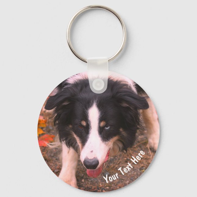 Border Collie Stare Dog Personalisiert Schlüsselanhänger (Vorderseite)