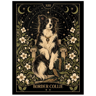 Border Collie, Sternen-Tarot-Kunst Postkarte