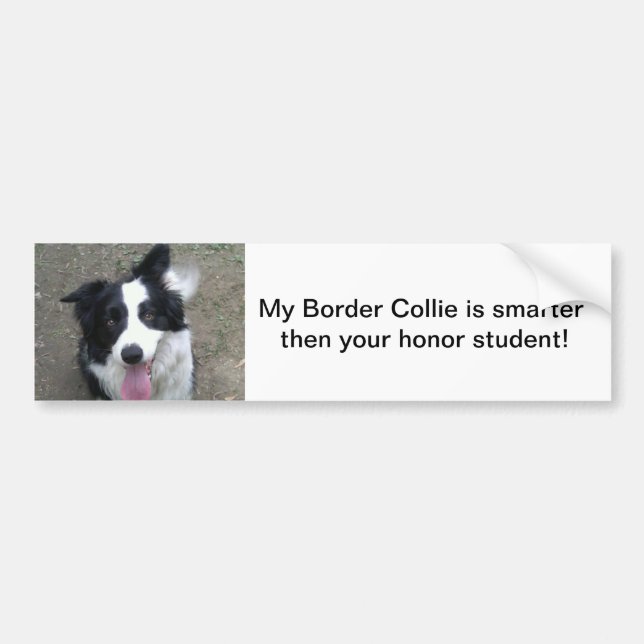 Border-Collie-Stoßdämpfer sticke Autoaufkleber (Vorne)