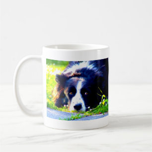 Border-Collie Tasse