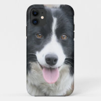 Border-Collie-Telefon-Kasten